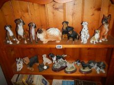 Two shelves of dog figures.