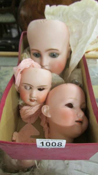 Three Victorian bisque porcelain dolls heads.