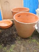 2 large terracotta plant pots with base trays (50cm tall x 55 cm diameter) COLLECT ONLY