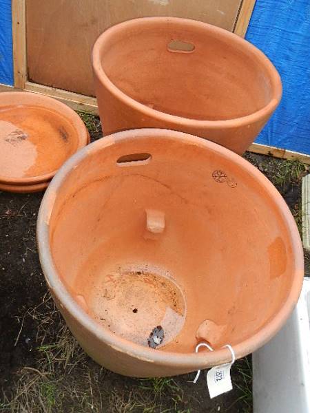 2 large terracotta plant pots with base trays (50cm tall x 55 cm diameter) COLLECT ONLY - Image 2 of 2