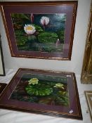A pair of framed and glazed watercolours of water lilies. 43 x 53 cm. (collect only).