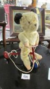 A circa 1950's pull along bear on scooter.(Height 29cm.)