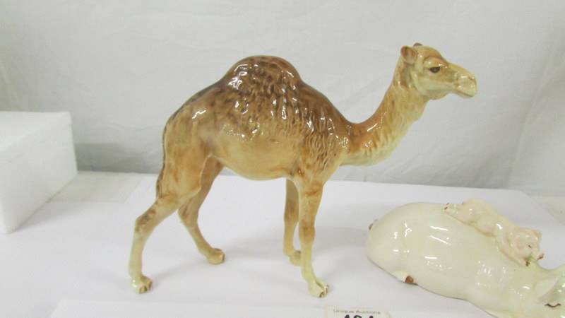 A Beswick camel and a Beswick pig, (pig has chip to ear). - Image 3 of 3