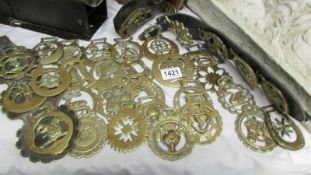 Three martingales with brasses and a good lot of horse brasses.