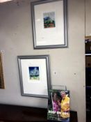 2 Rolf Harris limited edition prints (blue - stone art Lincoln) (151 of 495) 'tropical