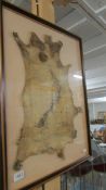 An unusual framed and glazed map of New Zealand on a possum skin.