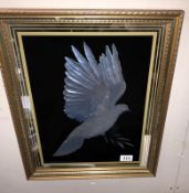 A gilt framed silvered print of a dove
