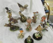 Nine assorted bird figures.