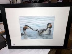 A framed watercolour of birds, (image 40cm x 30cm -= frame 77cm x 57cm) (COLLECT ONLY)