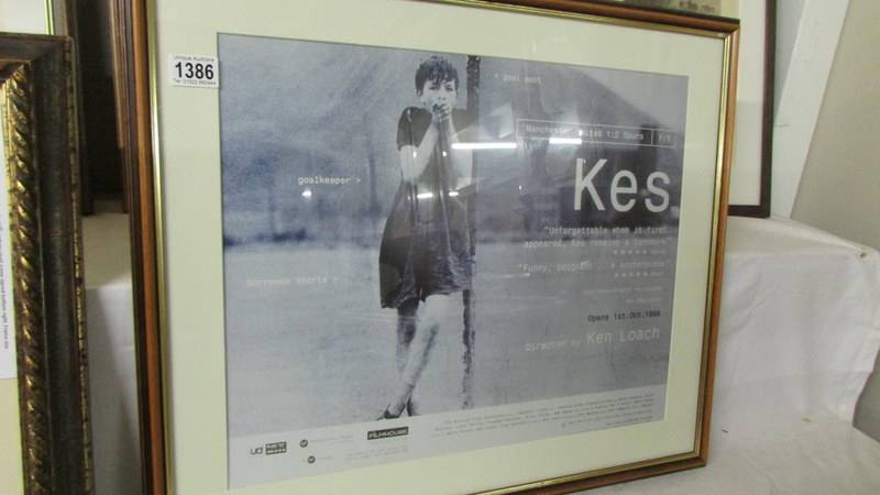 Kes film poster/print, from the 3oth anniversary re-release in 1999 directed by Ken Loach,