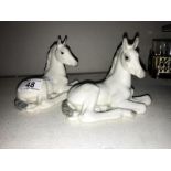 2 Lomonosov Russian foals/horses