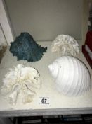 2 beach shells and 2 pieces of coral
