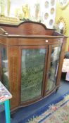 An Edwardian inlaid bow front display cabinet.