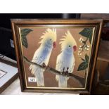 A framed silk picture of 2 cockatoo parrots (36cm x 36cm)