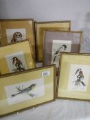 A set of six watercolours of birds by John Smith. (Collect only)