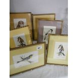 A set of six watercolours of birds by John Smith. (Collect only)