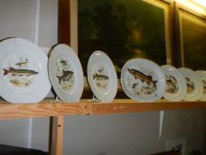 A ceramic fish platter with six matching plates. (Collect only)