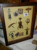A framed collage of bottle openers and corkscrews.