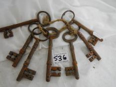 A ring of 7 old iron keys.