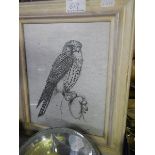 A framed study of a hawk signed Pam Mullings.