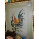 A framed and glazed watercolour of a cockerel.