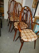 A good set of Ercol dIning chairs, COLLECT ONLY.