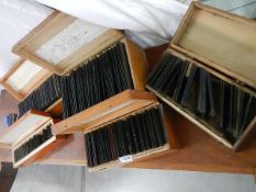 Five boxes of glass slides including many Lincolnshire. COLLECT ONLY.