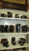 Twelve vintage folding camera's.