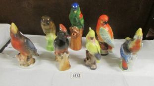 Seven parrot figures.