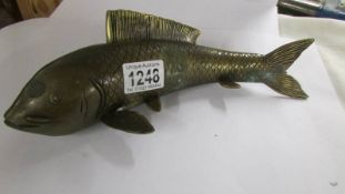 A bronze Koi carp, 30 cm long.