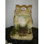 A garden frog ornament, COLLECT ONLY.