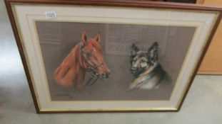 A framed and glazed study of a horse with a German Shepherd dog, signed and dated.
