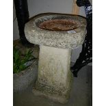 A bird bath, COLLECT ONLY.