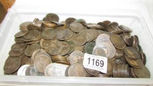 A large quantity Victorian and Edwardian pennies.