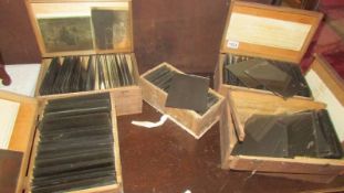 Six boxes of assorted glass slides. COLLECT ONLY.