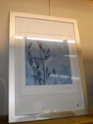 A large framed and glazed print of stylized flowers signed Rosie Medean 57cm x 77cm COLLECT ONLY