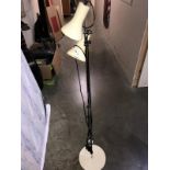 A floor standing spotlight with 2 lights, COLLECT ONLY