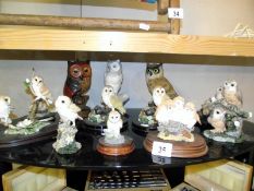 A quantity of owl figures