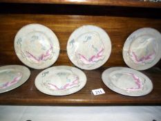 6 lovely Chinese side plates with raised dragon detail
