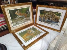 3 gilt framed and glazed limited edition Stephen Gayford prints:- Shallow Waters 849/1175,