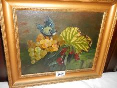 An oil on board painting of a blue tit on fruit. COLLECT ONLY.