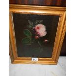 A gilt framed oil on board painting of a rose. COLLECT ONLY.