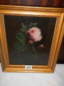A gilt framed oil on board painting of a rose. COLLECT ONLY.