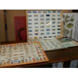 Three framed and glazed cigarette/tea card displays and a classical locomotives coin card display.