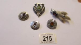 Five Scottish brooches including thistle design.