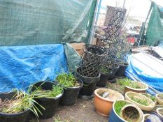 A quantity of plant climbing frames and plant pots, COLLECT ONLY,