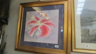 A framed and glazed print of a lily, COLLECT ONLY.
