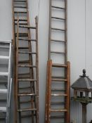 A quantity of wooden ladders, COLLECT ONLY.