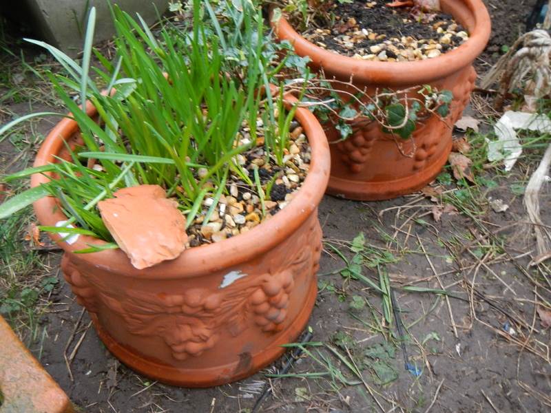 A pair of terracotta planters and one other. COLLECT ONLY. - Image 2 of 2