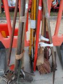 A quantity of garden tools , COLLECT ONLY.